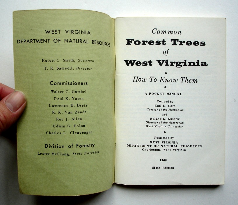 common-forest-trees-of-west-virginia-how-to-know-them